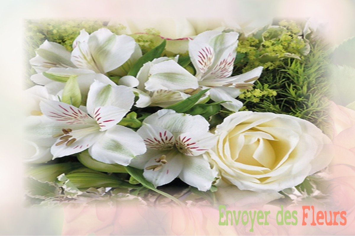 envoyer des fleurs à à SAINT-HILAIRE-EN-LIGNIERES